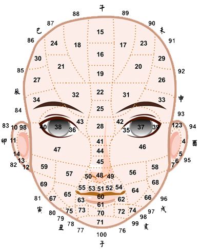 歲數面相年齡|【面相年齡】一窺你的面相年齡：用九執流年法、面相學，瞭解你。